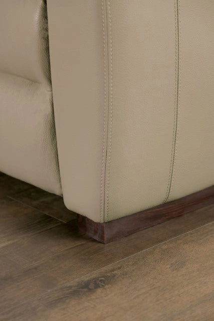 ALTAMURA Power Loveseat, Gray & Beige