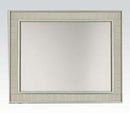 Acme Francesca Mirror in Champagne 62086 - Ace Furniture and Decor