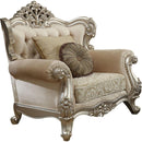Acme Furniture Bently Chair with 2 Pillows in Champagne 50662 - Ace Furniture and Decor