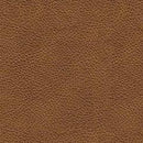 Carianna Sofa Sleeper - Ace Furniture and Decor