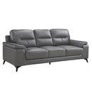 Mischa Sofa in Dark Gray 9514DGY-3 - Ace Furniture and Decor