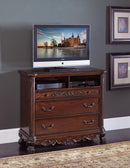 Deryn Park TV Chest in Cherry 2243-11 - Ace Furniture and Decor