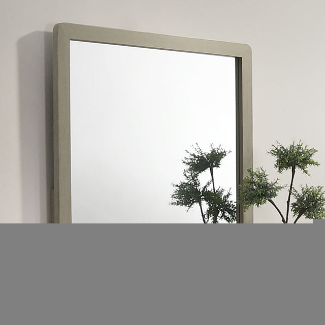 Rainier Mirror